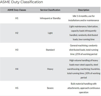 Electric chain hoist by OZ Lifting Products, LLC with duty ratings chart showing load capacities and specifications.