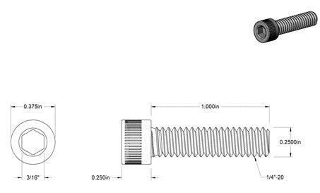 Close-up of a stainless steel socket head cap screw with 1/4-20 thread size and 1-inch length, showing the screw’s head and threading.